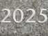 Forskudsopgørelsen 2025